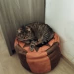 Sandy Richard - @doudouclochette18 - Instagram