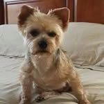 SandyRichard Kavasch - @sandyrichardkavasch - Instagram