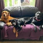 Sandy & Riley - @sandyriley2021 - Instagram