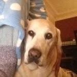 Sandy Riley - @sandyr0534 - Instagram