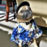 Sandy Riley - @sandy.riley.777158 - Instagram