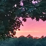 Sandy Roseman Wood - @sandyd1965 - Instagram