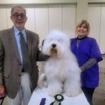 Sandy Rosenberg - @sandy.rosenberg2 - Instagram