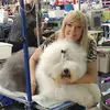 sandyrosenberg838 - @sandyrosenberg838 - TikTok
