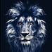Sandy Sanderson - Facebook