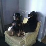 Sandy Sanderson - @sanderson490 - Instagram