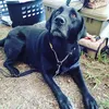 sandy0212 - @sandy.sao - TikTok