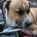 Sandra Satterfield - Facebook