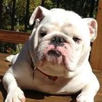Sandy Satterfield Pasek - @0001uga - Instagram