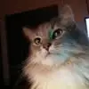 Sandy Sawyer - @sandy.sawyer6 - TikTok
