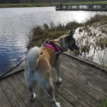Sandra Scanlon - @sandrascanlon66 - Instagram