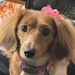 Sandy Scanlon - @sesscan5502 - Instagram