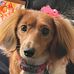 Sandy Scanlon - Facebook