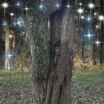 Sandy Schaefer - @sandy.schaefer - Instagram