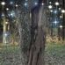 Sandy Schaefer - Facebook