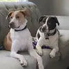 sandyschmitz657 - @sandyschmitz657 - TikTok