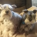 Sandra Schrader-Bell Gentile - @sandysbgentile - Instagram
