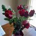 Sandy Schrader - Facebook