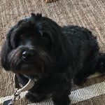 Sandy Schuster - @srschust2023 - Instagram