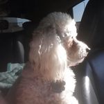 Sandy Schuster-Ward - @schusterward - Instagram