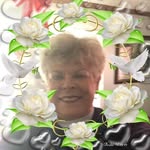 Sandy Schneck-Schuyler - @schneckschuyler - Instagram