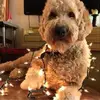 Sandi Seale - @sandiseale - TikTok