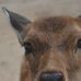 Sandy Seale - Facebook