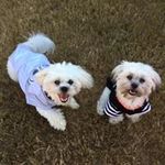 Sandy Seale - @sseale678 - Instagram
