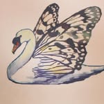 Sandra Orellana Sears 𓆃 MA, MIM - @swanderina - Instagram