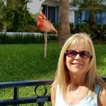 Sandy Larrabee Serry - @sushigirl1981 - Instagram