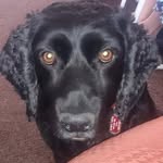 sandra shipley - @sandrashipley1944 - Instagram