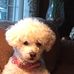 Sandy Shipley - Facebook