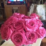 Sandy Shriver Callahan - @shrivercallahan - Instagram