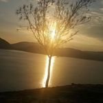 Sandy Shum - @sandy.shum.33 - Instagram