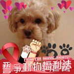 Sandy Shum - @sandyysshumca - Instagram