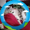 Sandy Shum - @sandy.shum - TikTok
