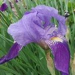 Sandy Shumate - @sandyshumate - Instagram