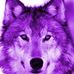 Sandy Sisk - Facebook