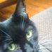 Sandy Sisson - Facebook