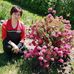Sandy Siu - Facebook