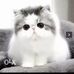 Sandy Siu - Facebook