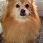 Sandy Siu - @sandy.siu.39 - Instagram