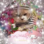 Sandy Siu - @sandy.siu.31 - Instagram