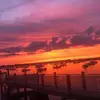 Sandy Skinner467 - @sandyskinner467 - TikTok