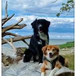 Sandra & Skipper & Jakob - @sagre4 - Instagram