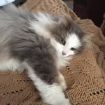Sandy Skipper - @sandy_skipper1945 - Instagram