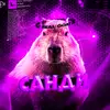 Sandyyslab - @sandyyslab - TikTok