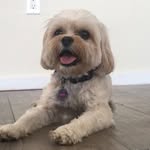Sandy Slaven - @sanderson_chip2015 - Instagram