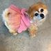 Sandy Sloane - Facebook
