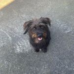 Sandy Sloane - @sandy.sloane.50 - Instagram
